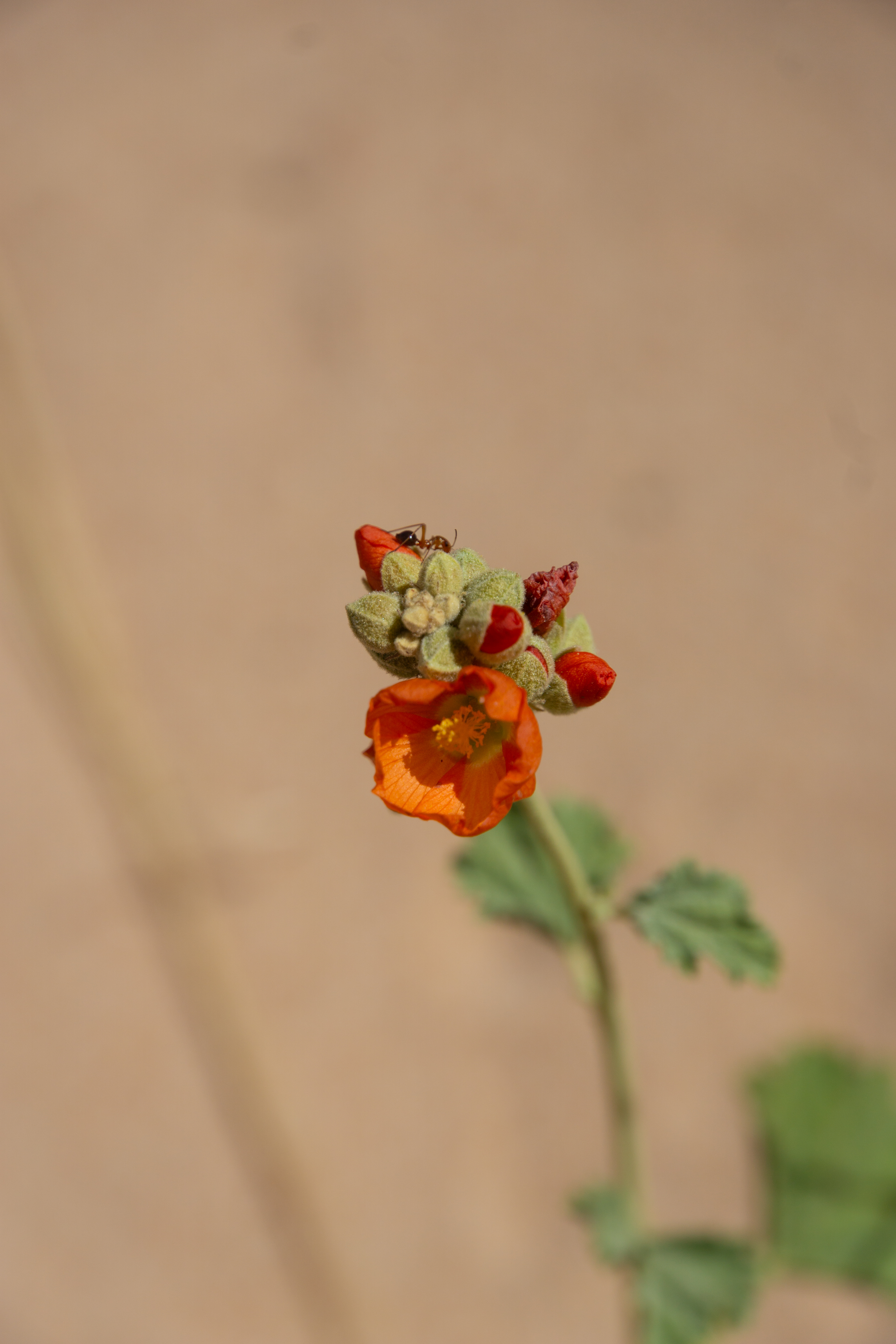 US National Parks 2022 24